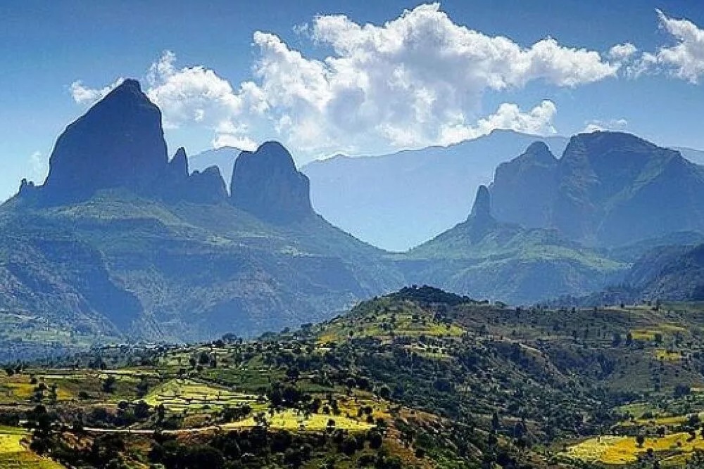Birding Ethiopia Tours & Travel Company